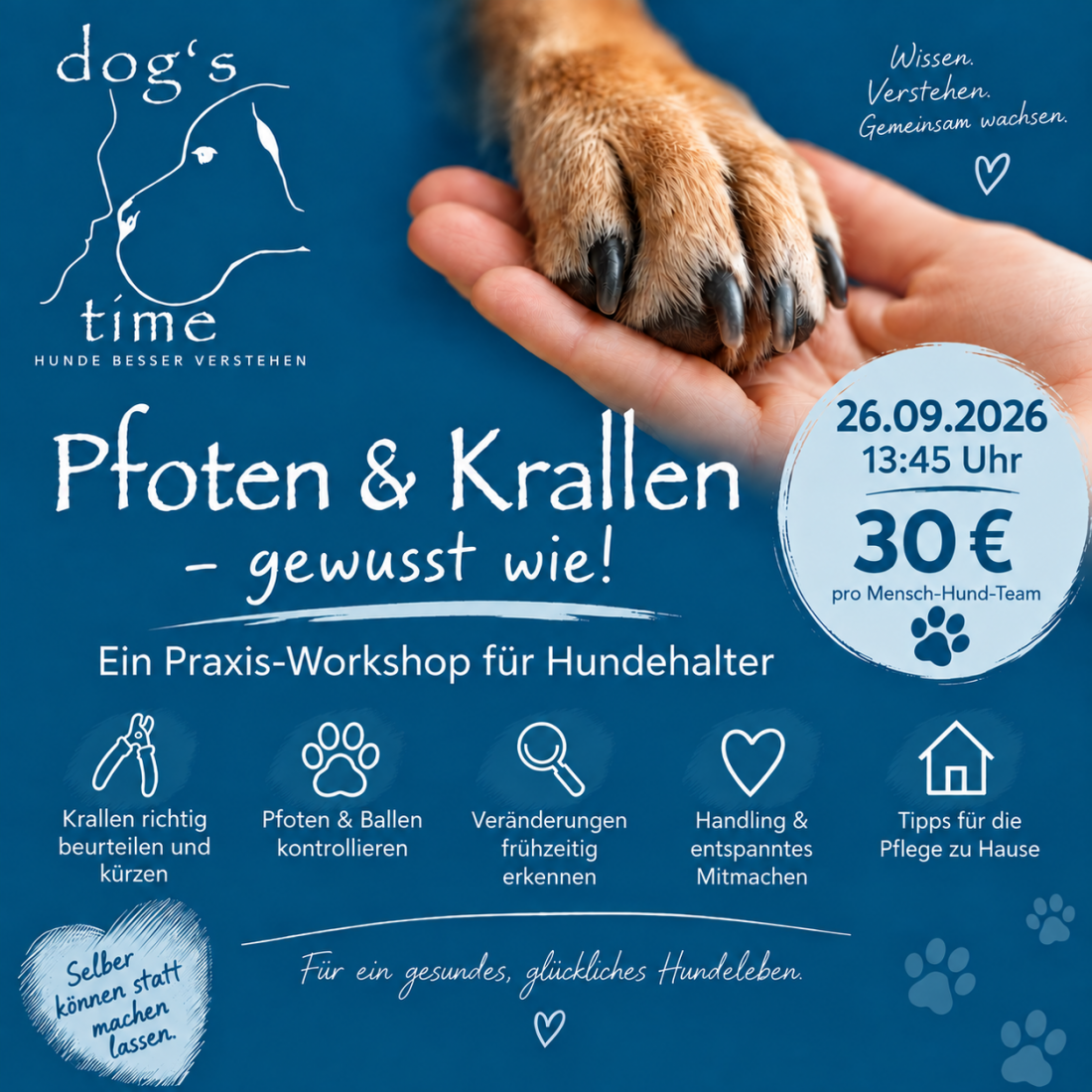 Pfoten & Krallen 