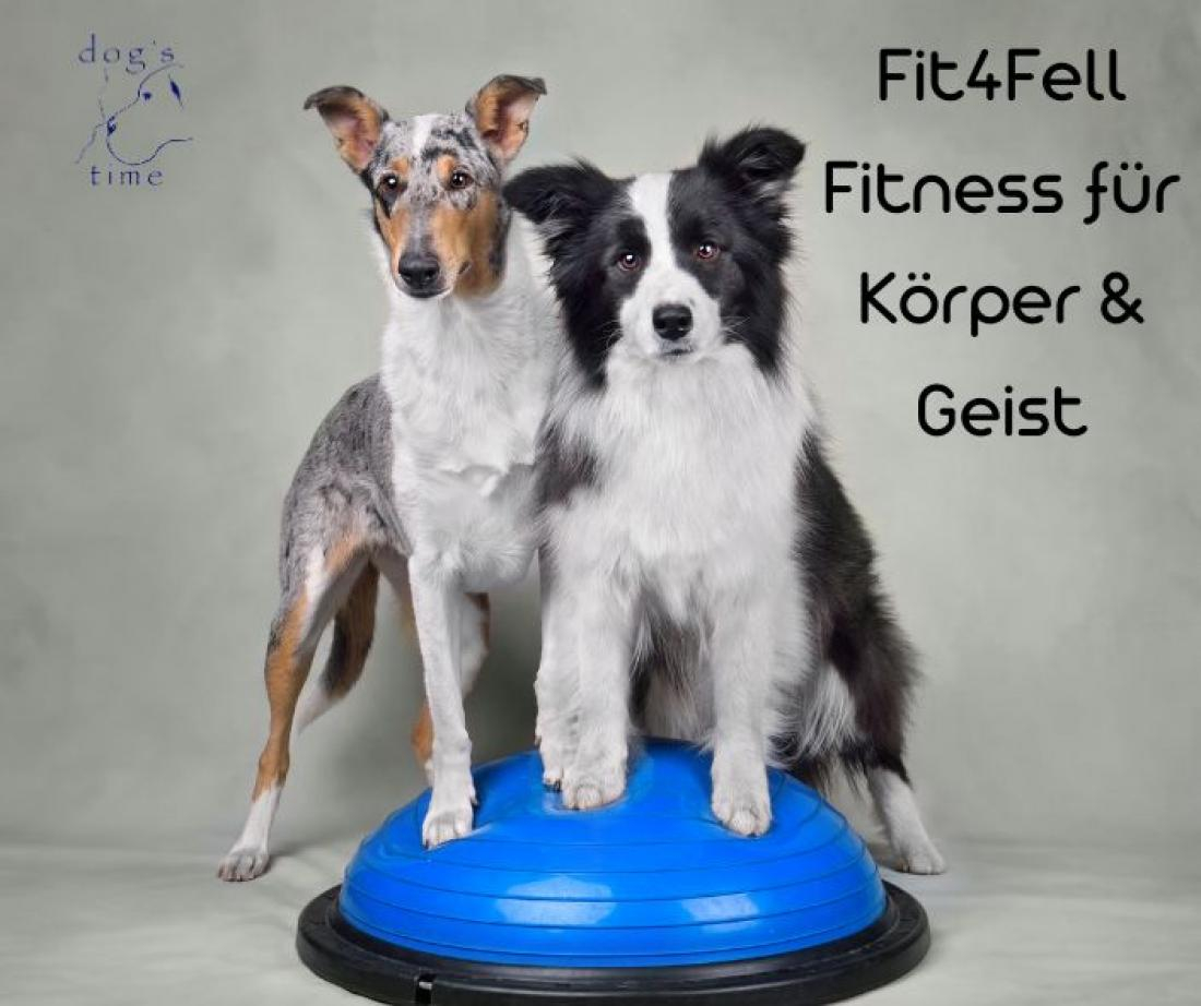 Fitnesstraining